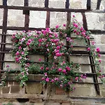 Dietlinde باد بلانكِنبورغ