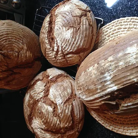 Appartement Dietlinde