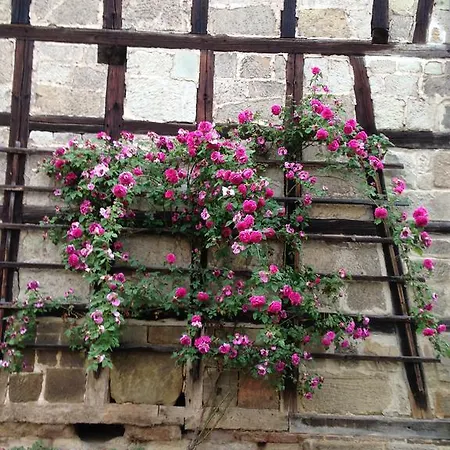 Dietlinde Bad Blankenburg