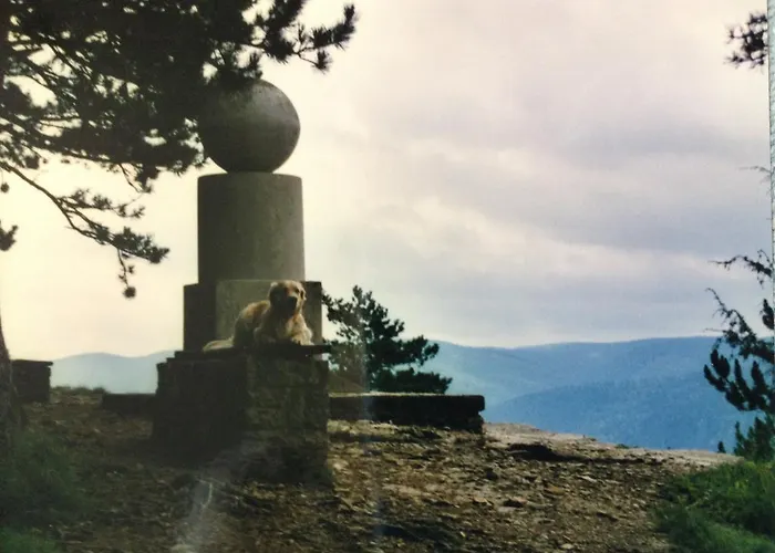 Dietlinde * Bad Blankenburg