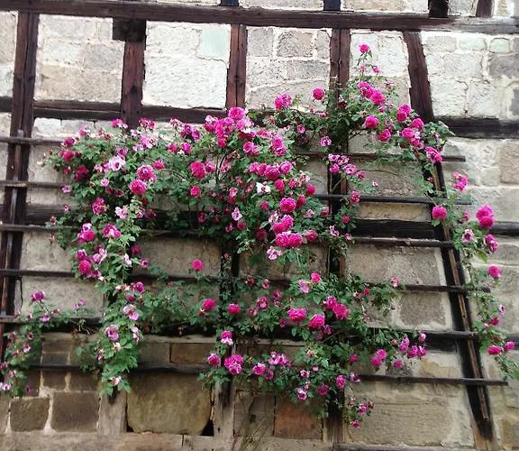 Dietlinde Bad Blankenburg